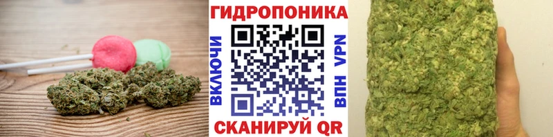 Canna-Cookies марихуана  как найти   Дно 