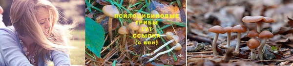 бошки Мурманск