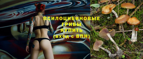 прущий лед Чита