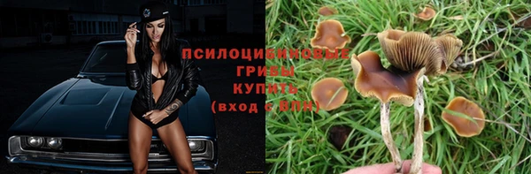 прущий лед Чита