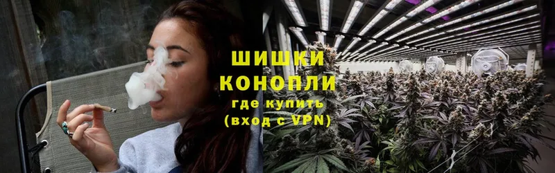 Шишки марихуана OG Kush  хочу наркоту  Дно 